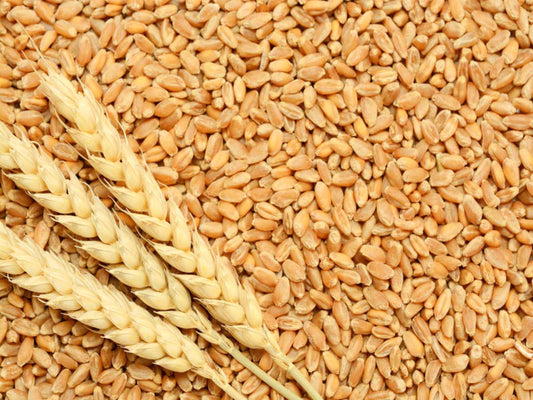 Wheat, 32 Rs/kg, 30 Kg Bag